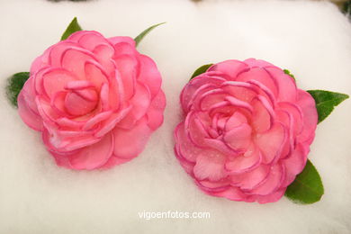 XLI Concurso-exposición de la Camelia 2005 en Bouzas (Vigo).