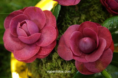 Concurso-exposici�n de la Flor de la Camelia 2008 en Bouzas (Vigo). 