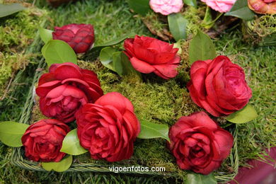 Camellia exhibition 2008. 