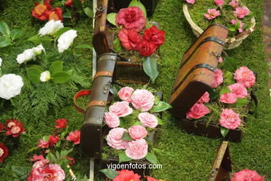 Camellia exhibition 2008. 