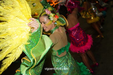 Carnaval 2008 - Desfile de comparsas en el S�bado de Carnaval (Vigo). 