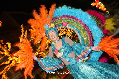 Carnaval 2008 - Desfile de comparsas en el Sábado de Carnaval (Vigo).