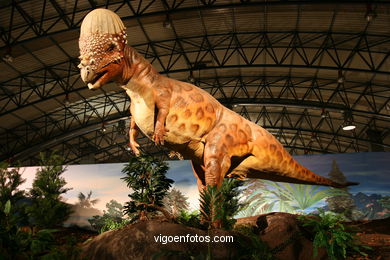 Dinosaurs - Expo gobissauros. 
