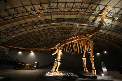 Dinosaurios - Exposición Universal - Gobissauros (Desierto del Gobi) - IFEVI 2004.