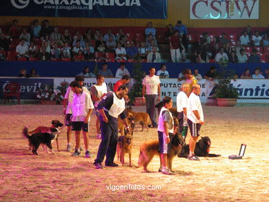 CSI de h�pica de Vigo 2003. 