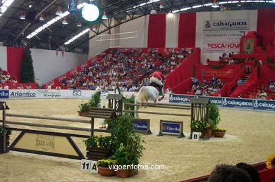 Show jumping competition - CSI 2002. 