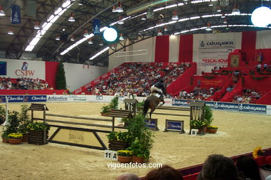 Show jumping competition - CSI 2002. 