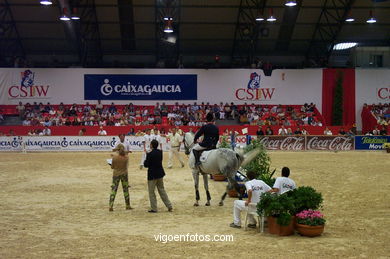 Show jumping competition - CSI 2002. 
