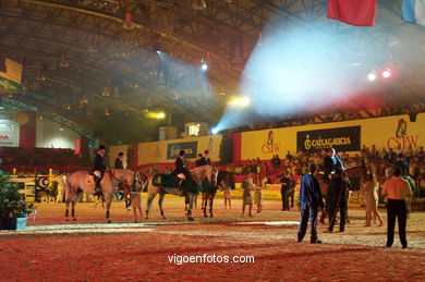 Show jumping competition - CSI 2002. 