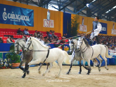 Show jumping competition - CSI 2004.