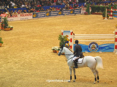Show jumping competition - CSI 2004. 