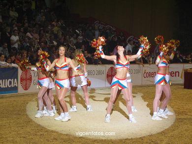 Show jumping competition - CSI 2004. 