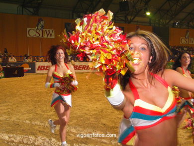 Show jumping competition - CSI 2004. 