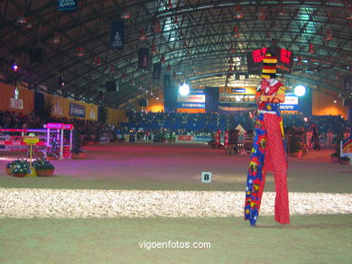 CSI de h�pica de Vigo 2004. 