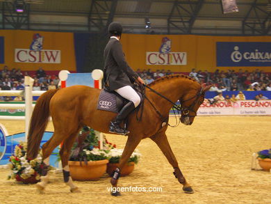 Show jumping competition - CSI 2004. 