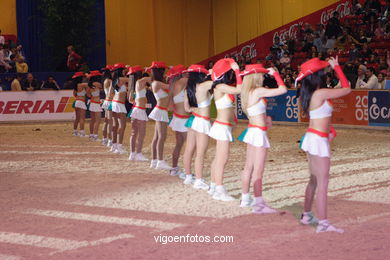 Show jumping competition - CSI 2005.