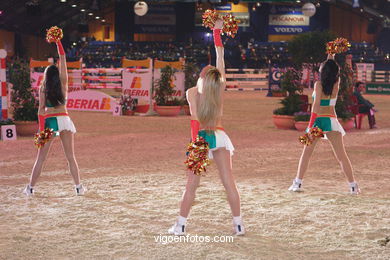 Show jumping competition - CSI 2005.