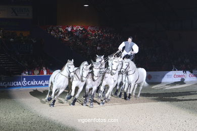 Show jumping competition - CSI 2005.