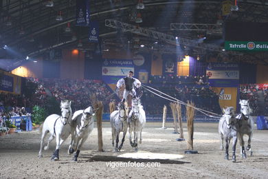 CSI de h�pica de Vigo 2005. 