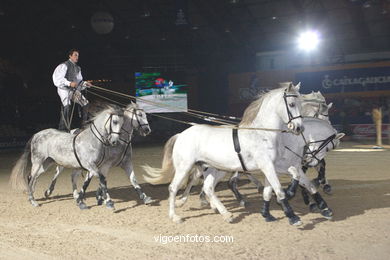 CSI de h�pica de Vigo 2005. 