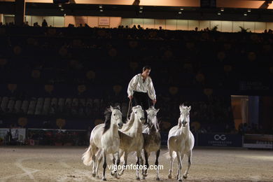CSI de h�pica de Vigo 2006. 