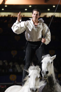 Show jumping competition - CSI 2006. 