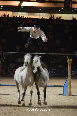 Show jumping competition - CSI 2006. 