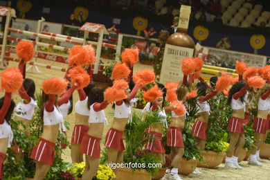 CSI de h�pica de Vigo 2006. 