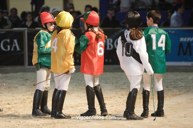 Show jumping competition - CSI 2007. 