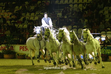 Show jumping competition - CSI 2007. 