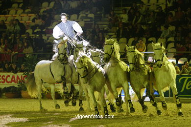 CSI de h�pica de Vigo 2007. 
