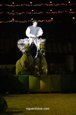 Show jumping competition - CSI 2007. 