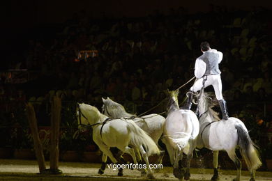 CSI de h�pica de Vigo 2007. 