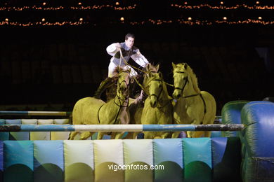 Show jumping competition - CSI 2007. 