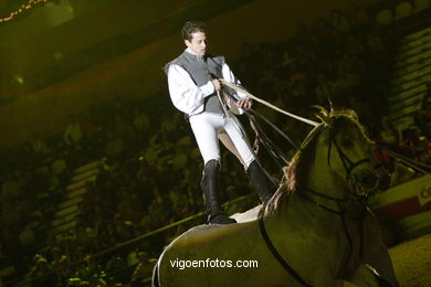 Show jumping competition - CSI 2007. 