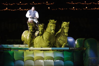 Show jumping competition - CSI 2007. 