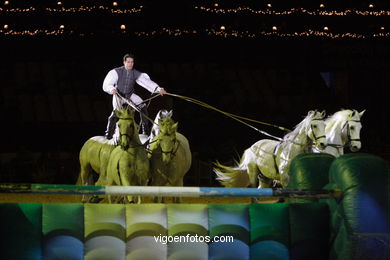 Show jumping competition - CSI 2007.