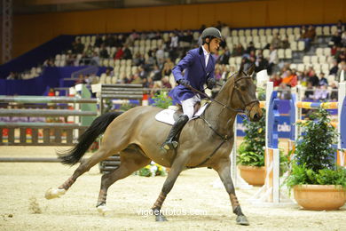 Show jumping competition - CSI 2009. 