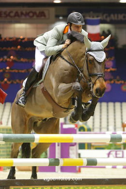 Show jumping competition - CSI 2009. 