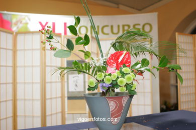 Exposici�n de la camelia 2005. 