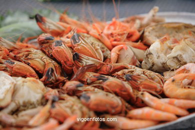 Festa do Marisco - Porto de Vigo - Berbés (Vigo) - 2006.
