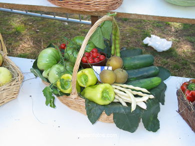 Corn bread celebration 2004. 
