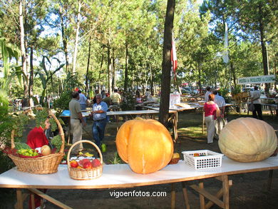 Fiesta del Pan de Millo en Cabral - Cotogrande (Vigo) - 2004.