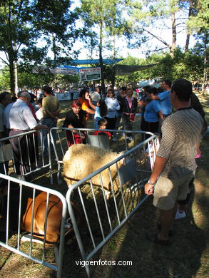 Fiesta del Pan de Millo en Cabral - Cotogrande (Vigo) - 2004.