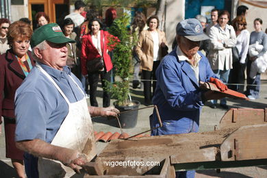 Reconquers of Vigo 2005 celebration.