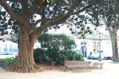 La Alameda (Plaza de Compostela) (Vigo).