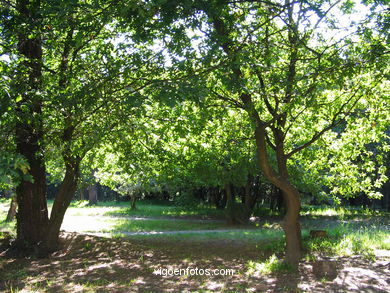 Park of the bouza
(Others parks and gardens)
. 