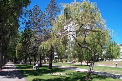 Jardines de la Avenida de Castelao (Vigo). 