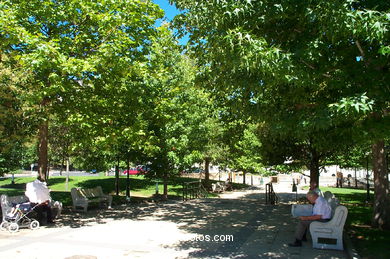 Jardines de la Avenida de Castelao (Vigo). 