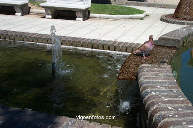 Jardines de la Avenida de Castelao (Vigo).